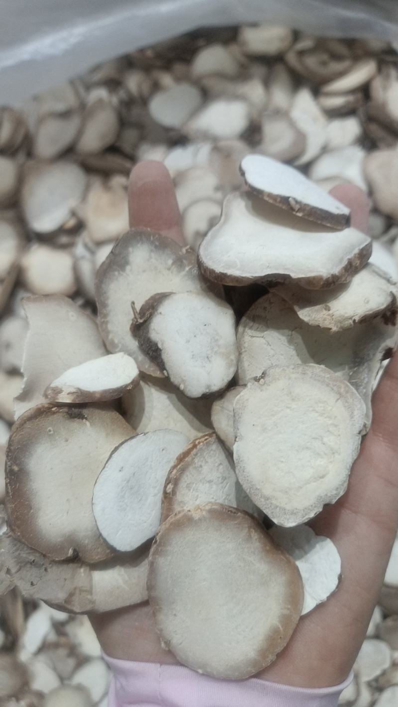 重楼片规格多货品齐符合药典标准的重楼片需要的详谈