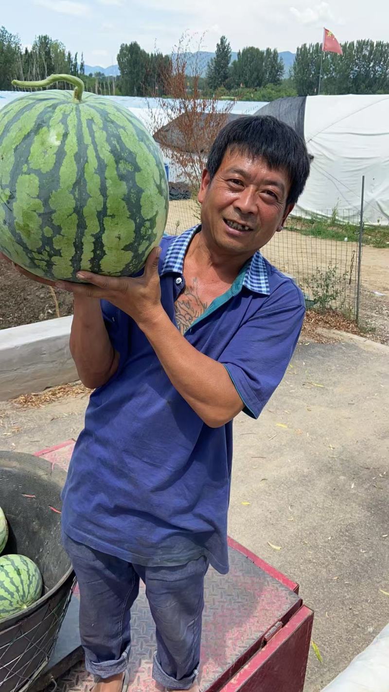 【优质推荐】8424西瓜即将开园！先订先得量大从优