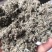 茵陈过风车选货绵茵陈量大优惠