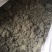 茵陈过风车选货绵茵陈量大优惠
