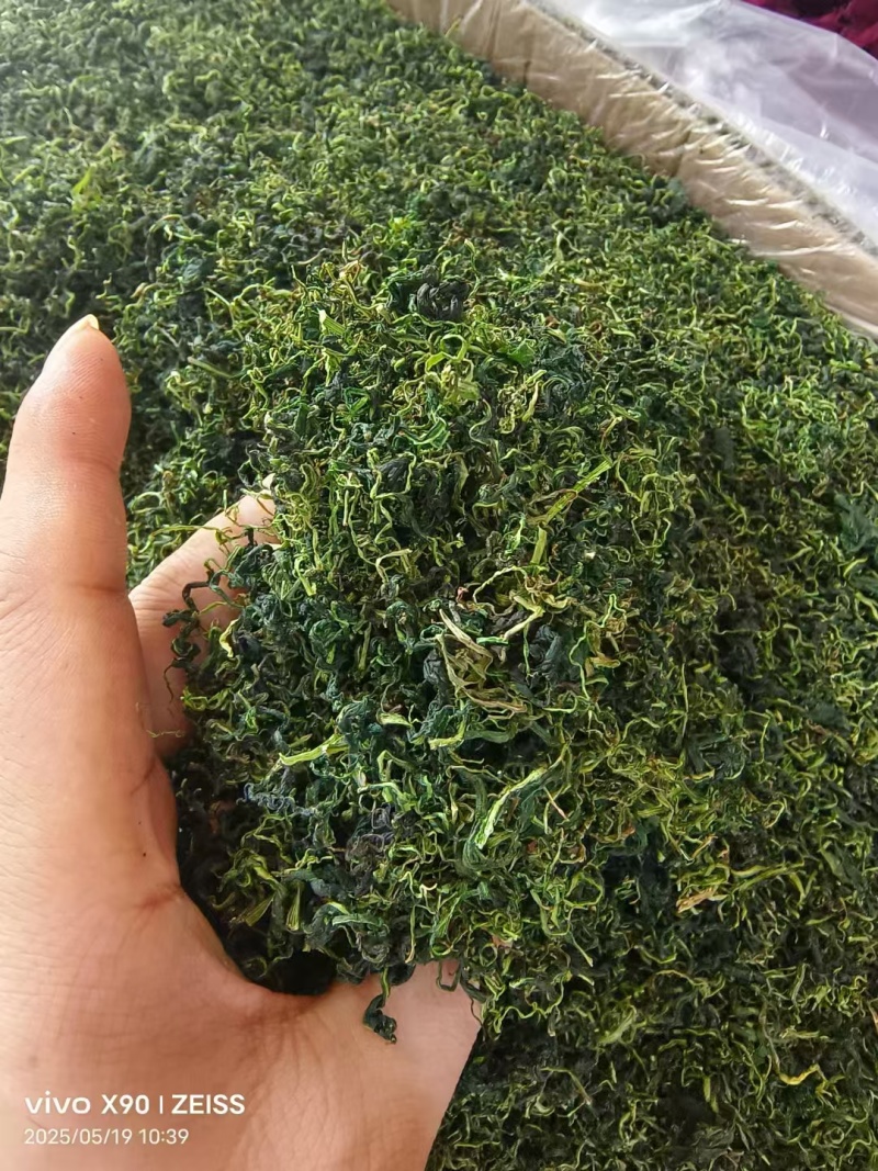蒲公英水洗蒲公英干货整箱更优惠
