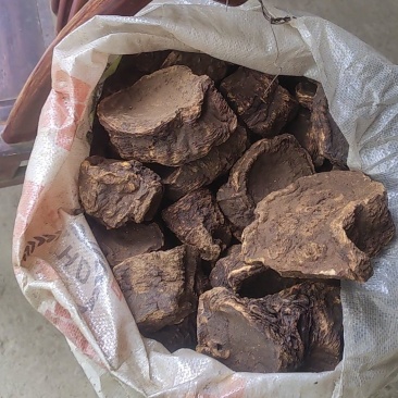 炕大黄，大黄片，大黄丁，高质量药用大黄，产地农户直发