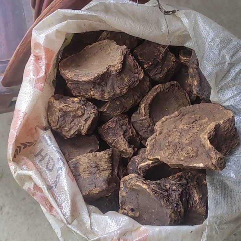 炕大黄，大黄片，大黄丁，高质量药用大黄，产地农户直发