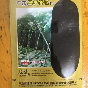 广东黑皮冬瓜苗长条东瓜苗口感细腻成活率高价格实惠欢迎联系