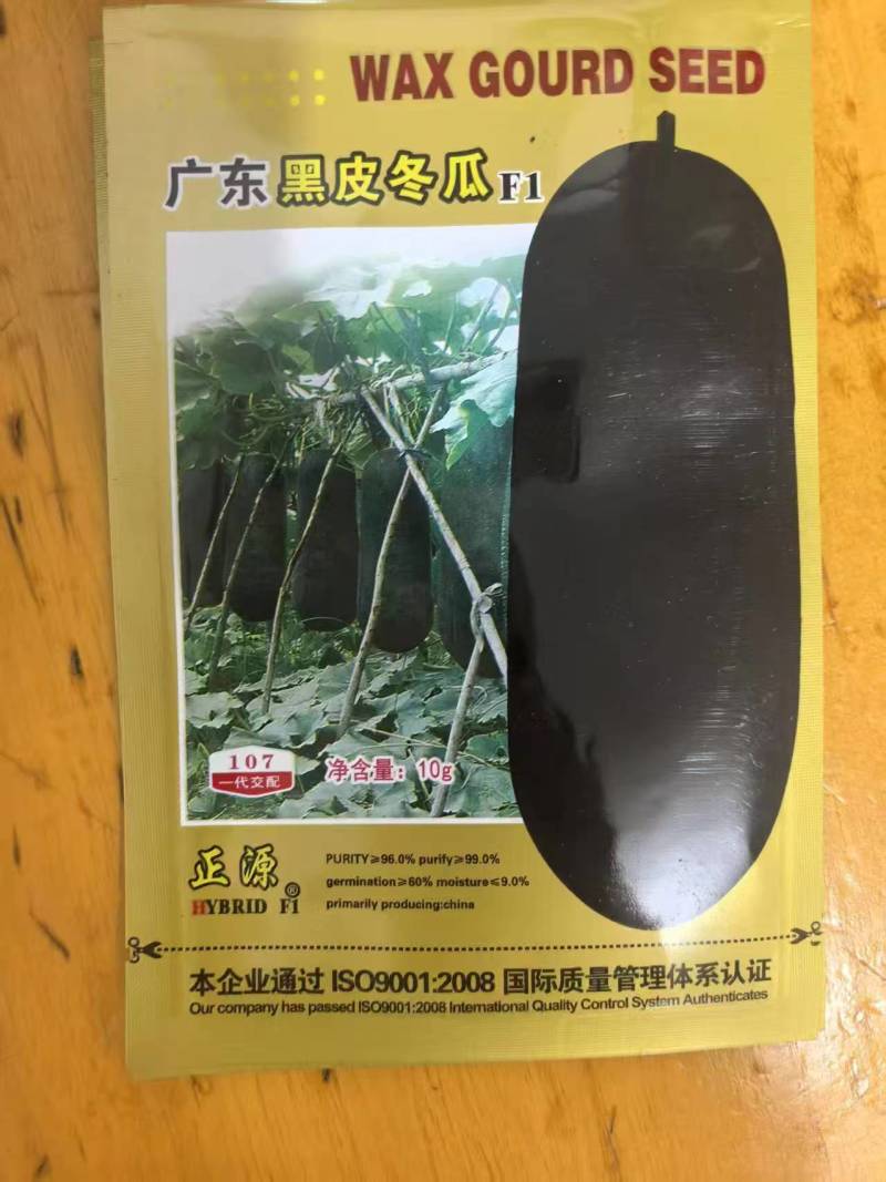 广东黑皮冬瓜苗长条东瓜苗口感细腻成活率高价格实惠欢迎联系