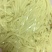 正宗贵州毕节织金高山麦子石磨面条
