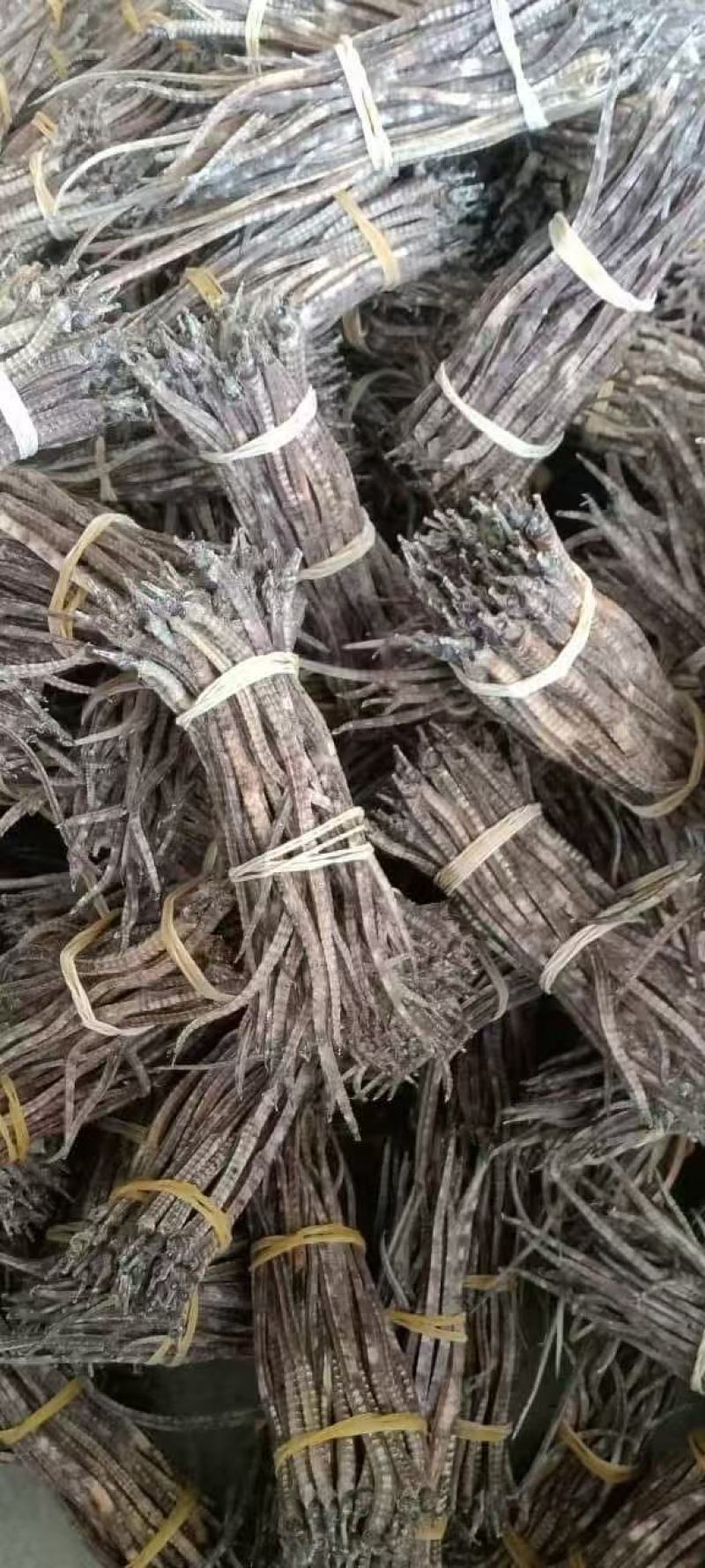 广西精品海龙全国可发价格透明量大从优对接各大市场