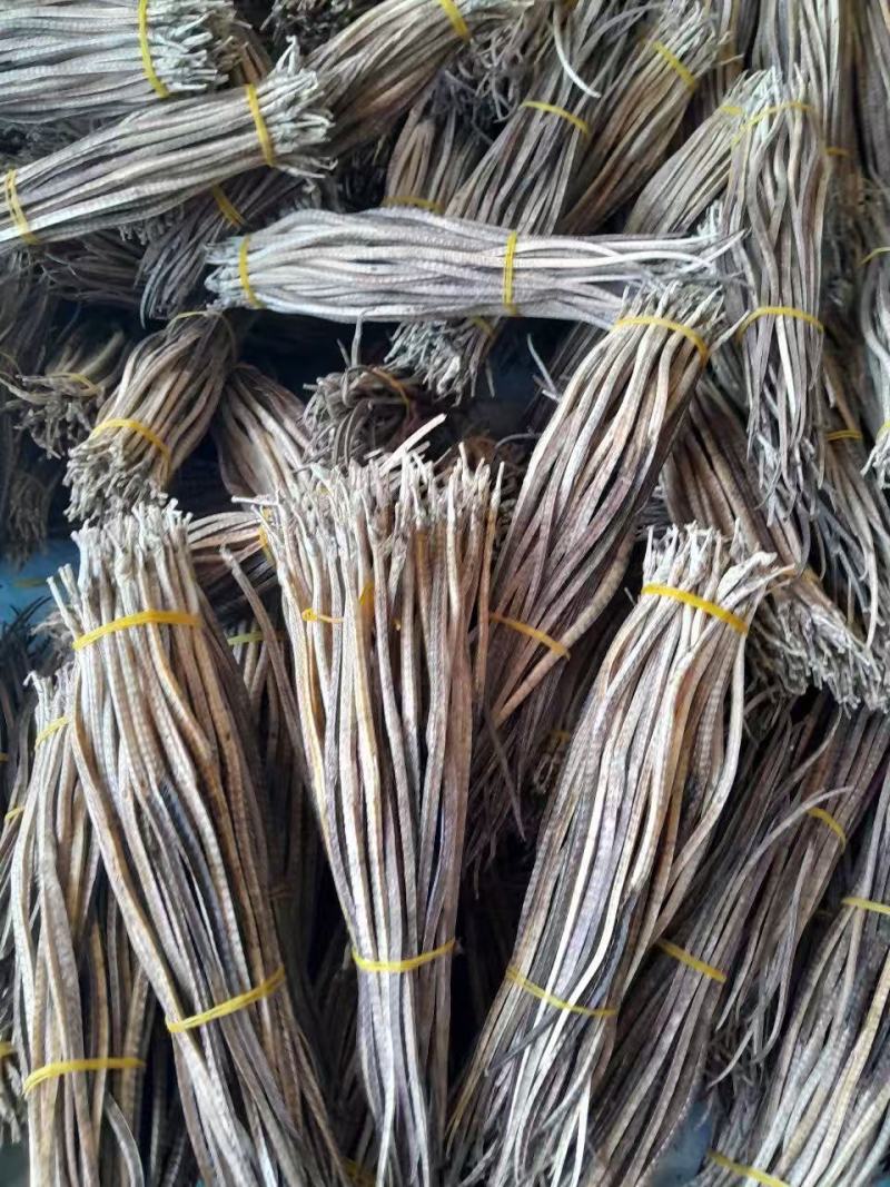 广西精品海龙全国可发价格透明量大从优对接各大市场