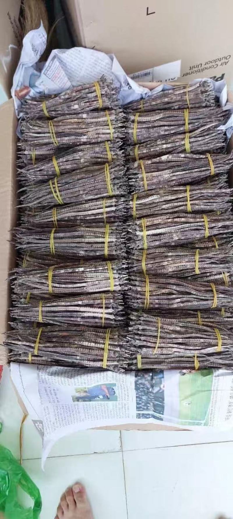 广西精品海龙全国可发价格透明量大从优对接各大市场