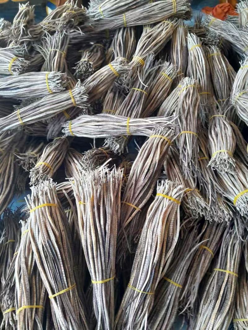 广西精品海龙全国可发价格透明量大从优对接各大市场