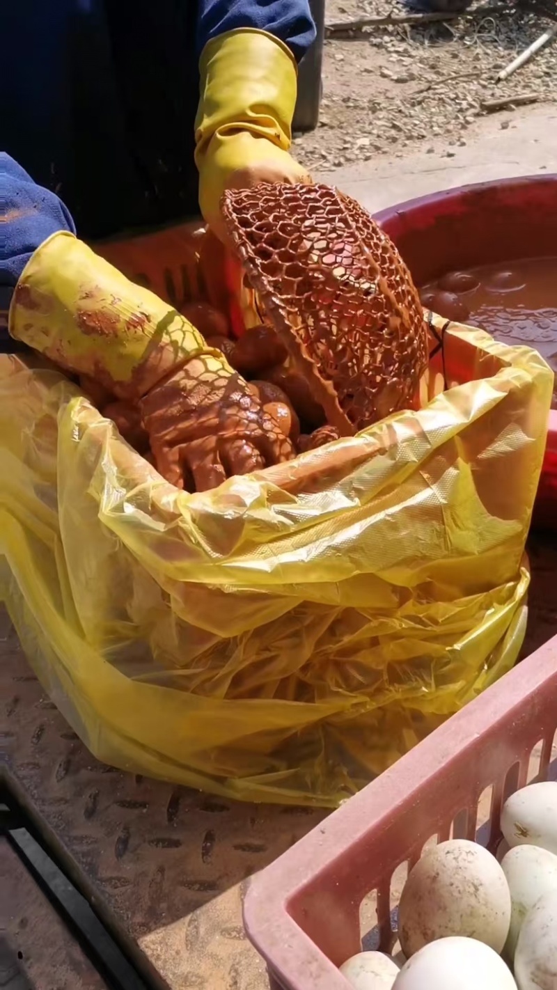 咸鸭蛋全国发货厂家直销批发电话联系可谈