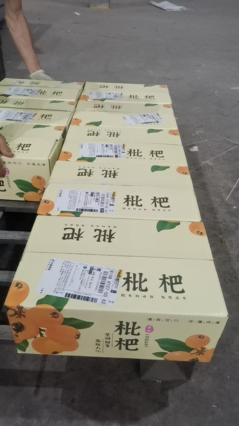 枇杷大五星枇杷，现货供应各大商超，团购电商代发
