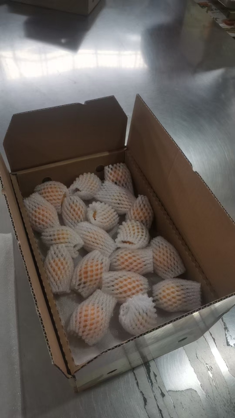 枇杷新鲜枇杷，对接团购抖音直播多多买菜，电商代发
