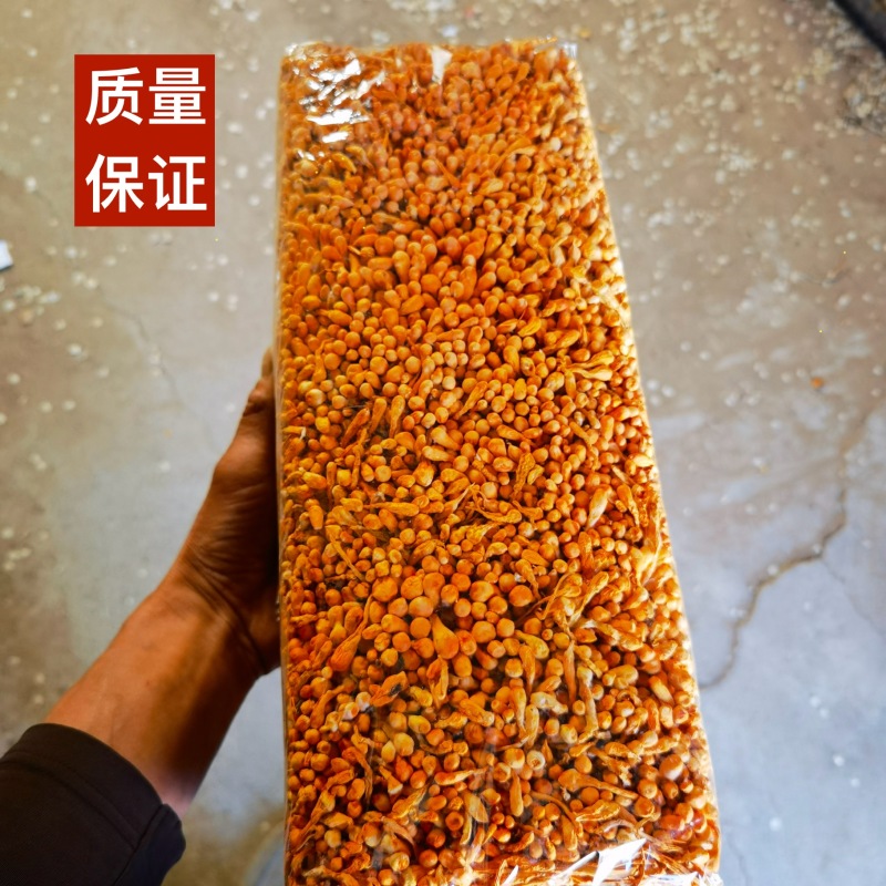 虫草花批发干货北虫草土特产蛹虫草产地直销
