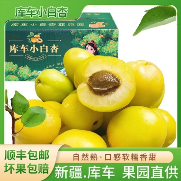 新疆库车小白杏，咬一口就爆汁！支持一件代发