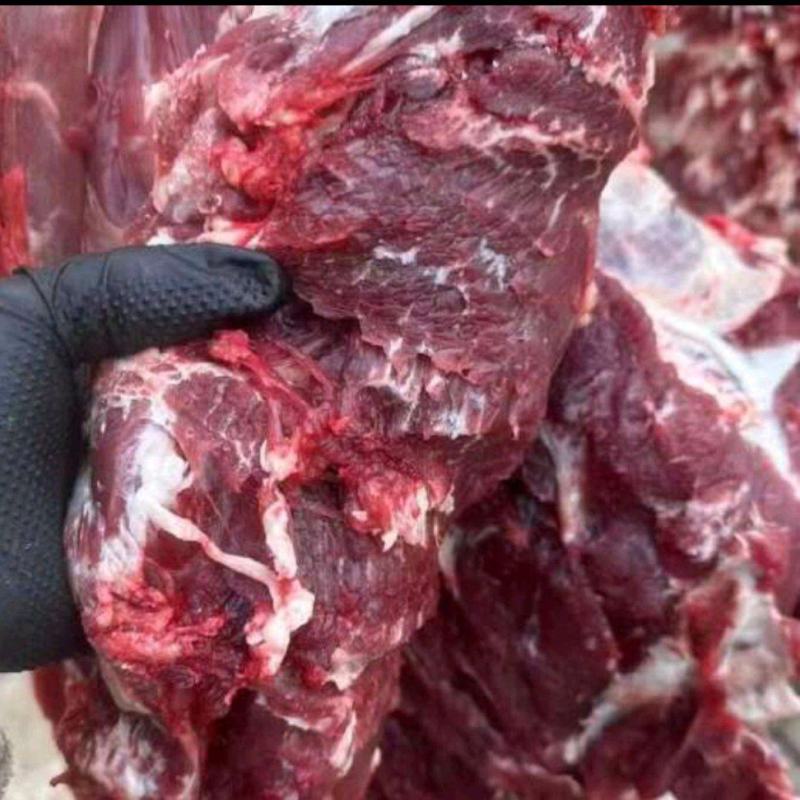 牛肉四分体