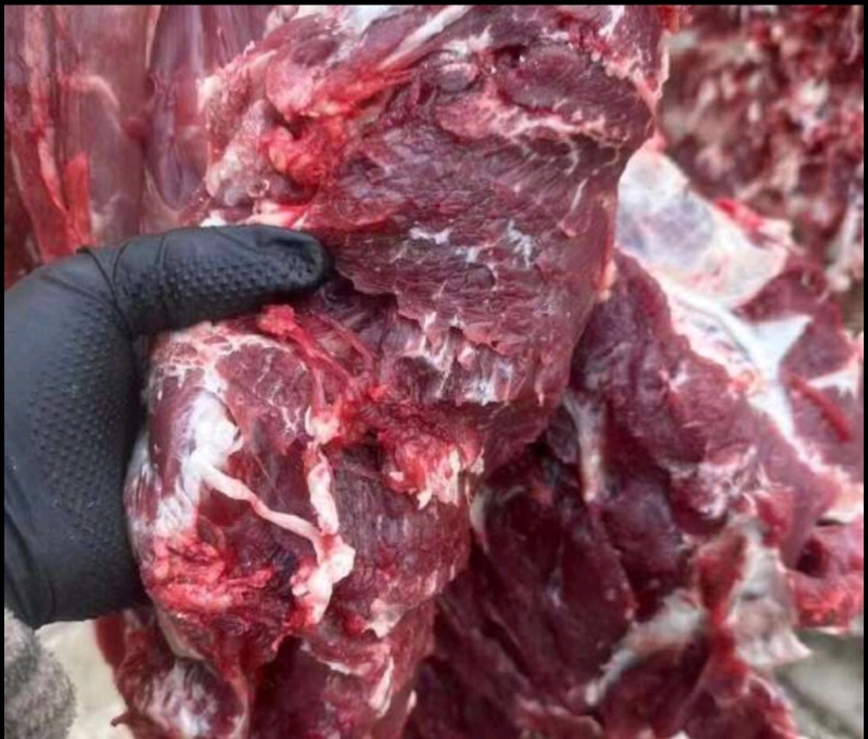牛肉四分体