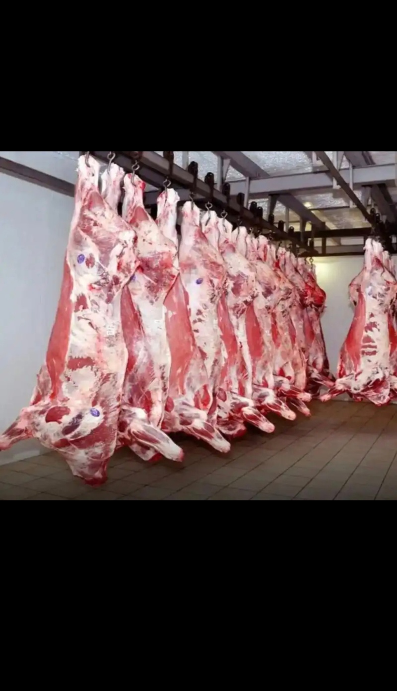 牛肉四分体