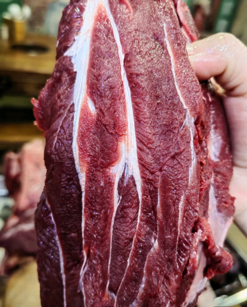 牛肉四分体
