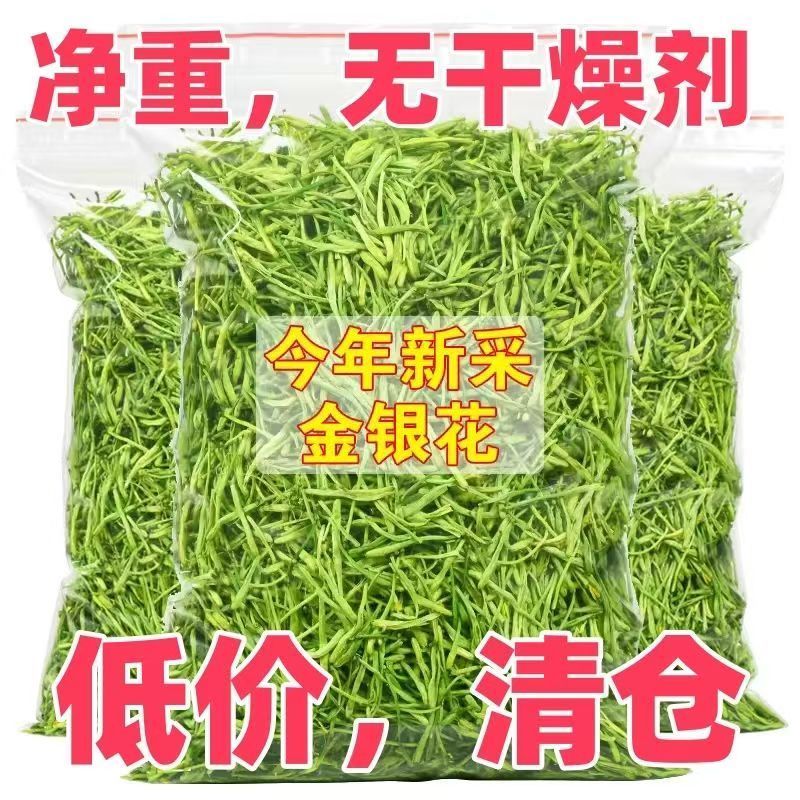正宗平邑金银花四季金银花北花一号产地直销