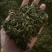 香茶片批发