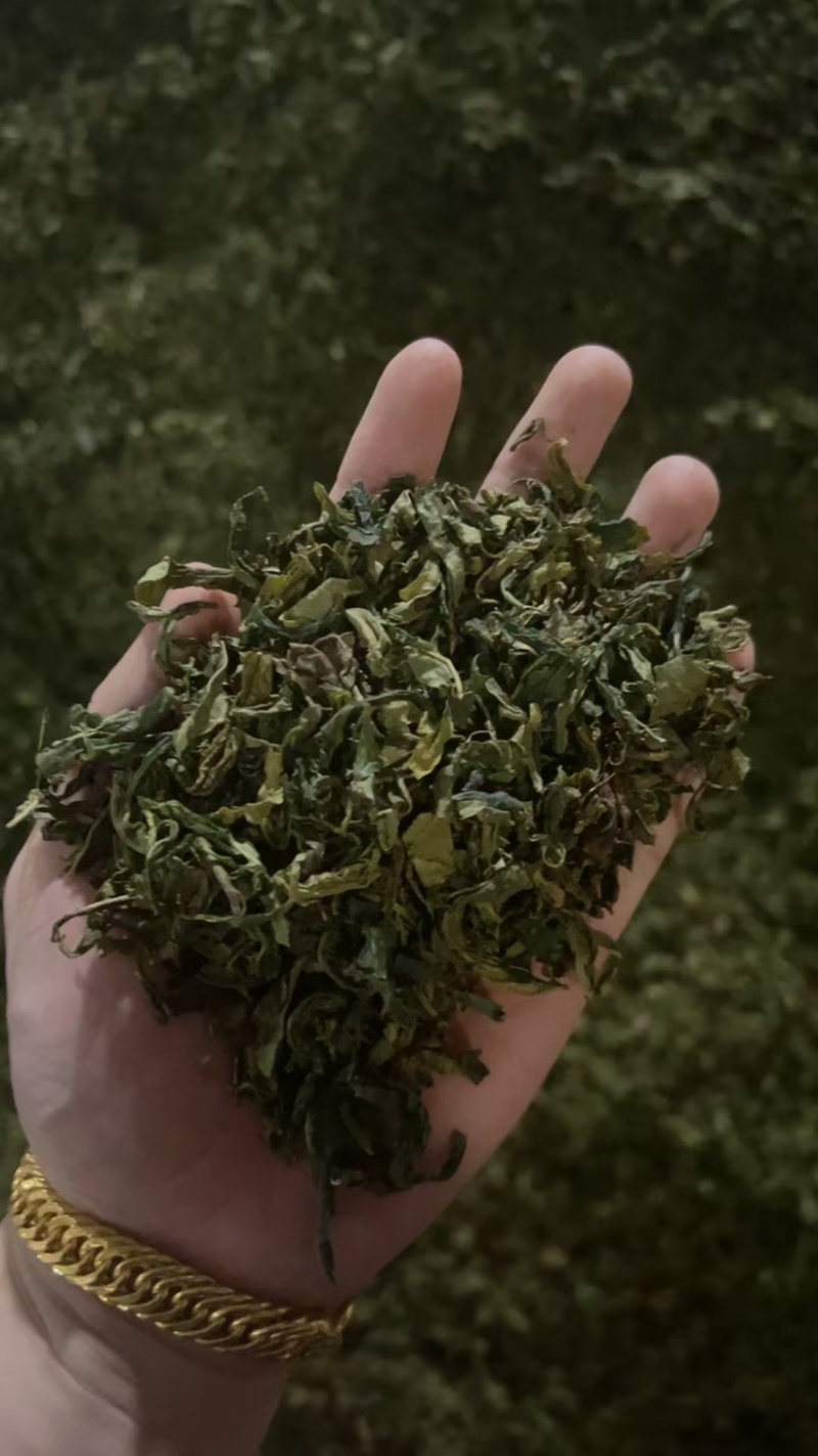 香茶片批发
