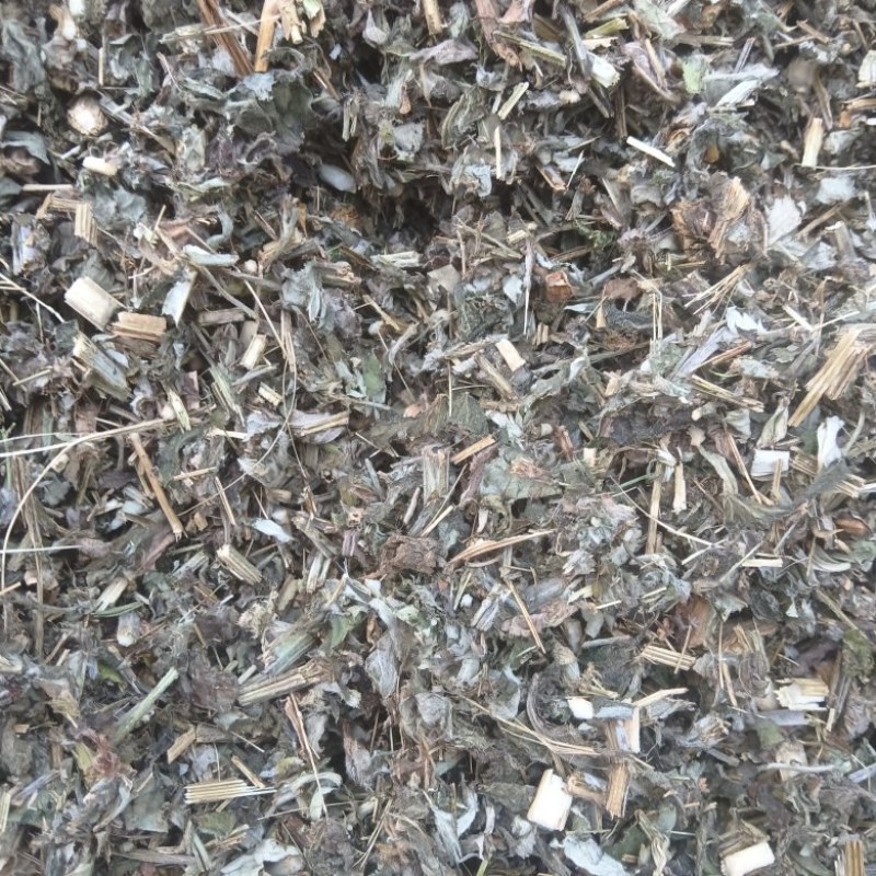 艾草，大艾草，家艾草全棵大艾草。大量供货规格齐全。