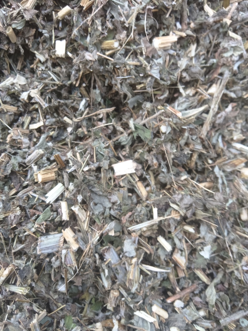 艾草，大艾草，家艾草全棵大艾草。大量供货规格齐全。