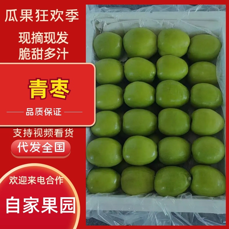 云南牛奶枣大青枣产品预售量大从优优质保障欢迎咨询