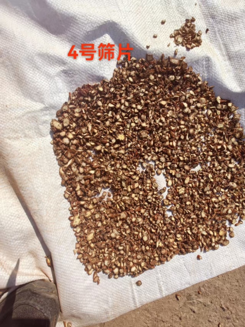《精品》丹参片新鲜品质优可支持视频看货欢迎选购