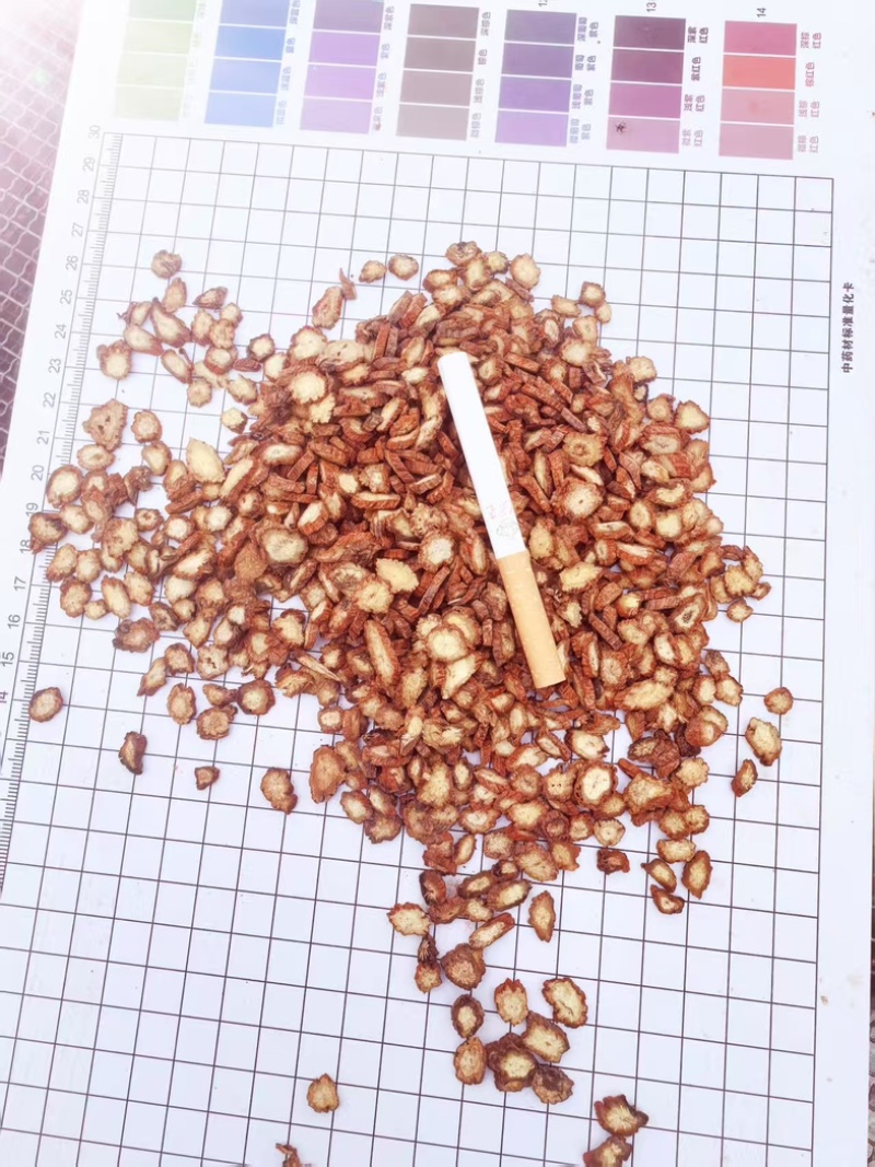 《精品》丹参片六号山西产批发零售各种规格中药材