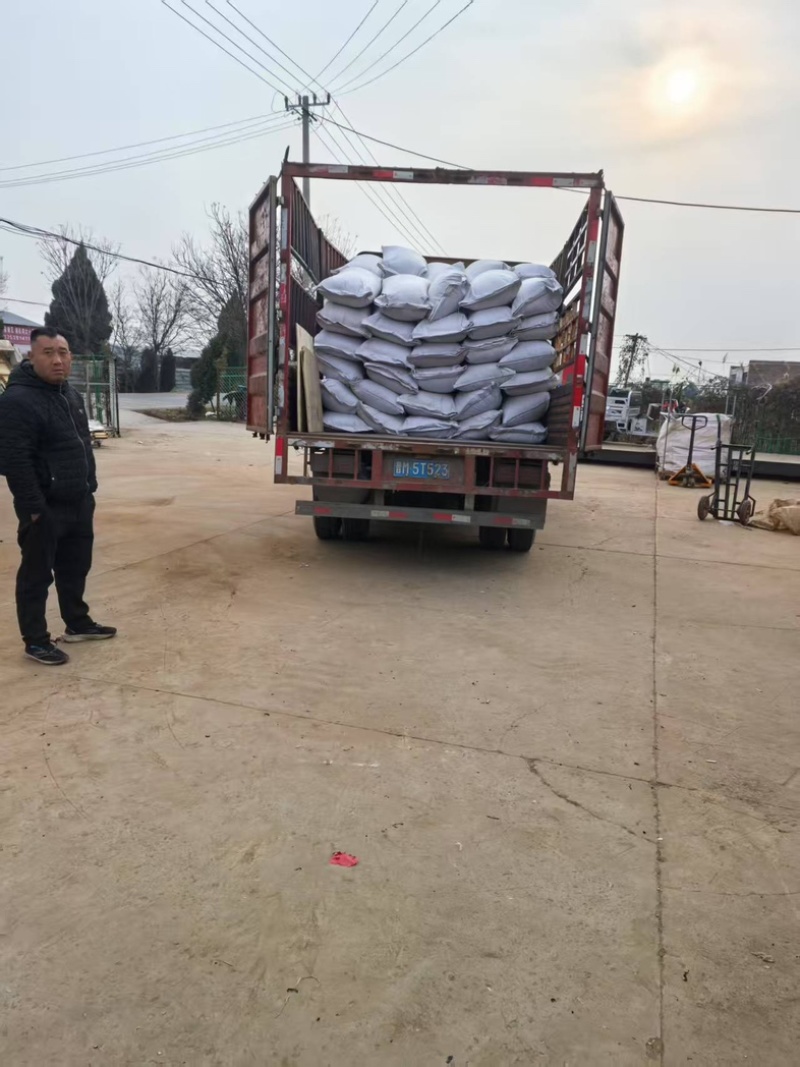《精品》丹参片六号山西产批发零售各种规格中药材