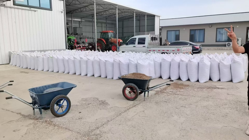 《精品》丹参片3号山西正宗大量有货可视频看货