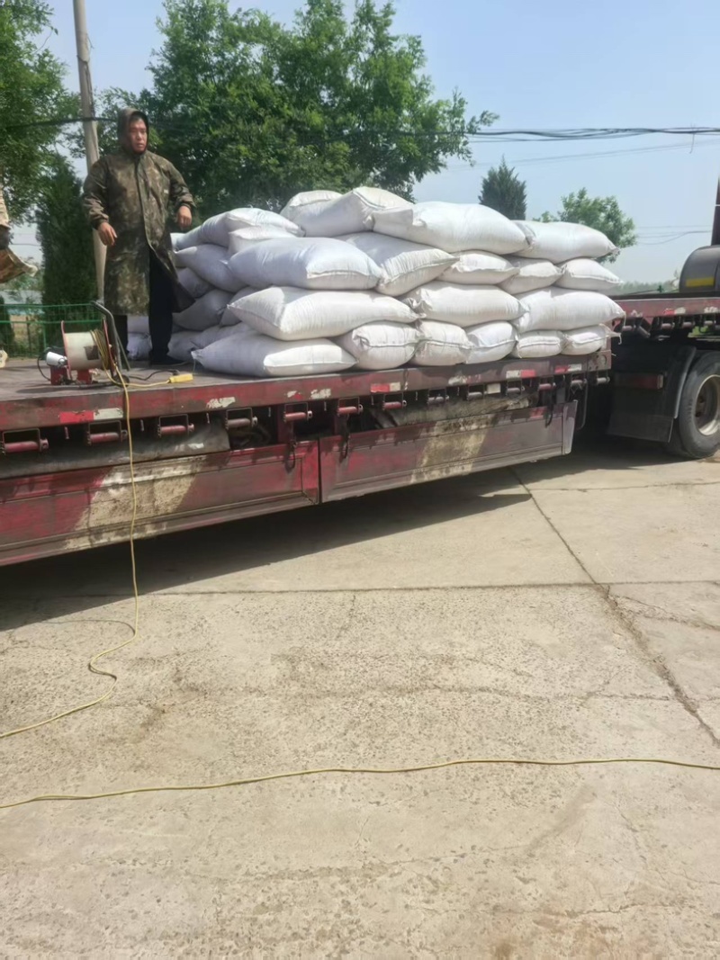 《精品》丹参片3号山西正宗大量有货可视频看货