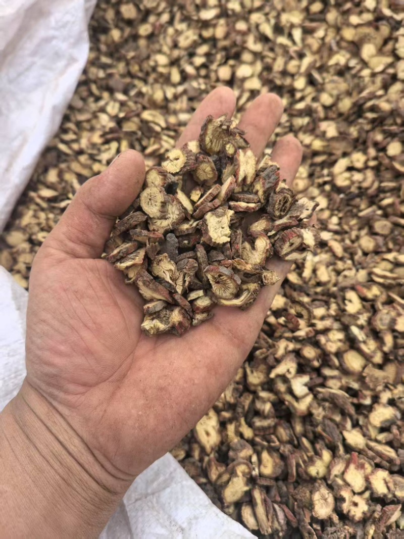 《精品》丹参头片大量有货正宗山西各种规格药材齐全