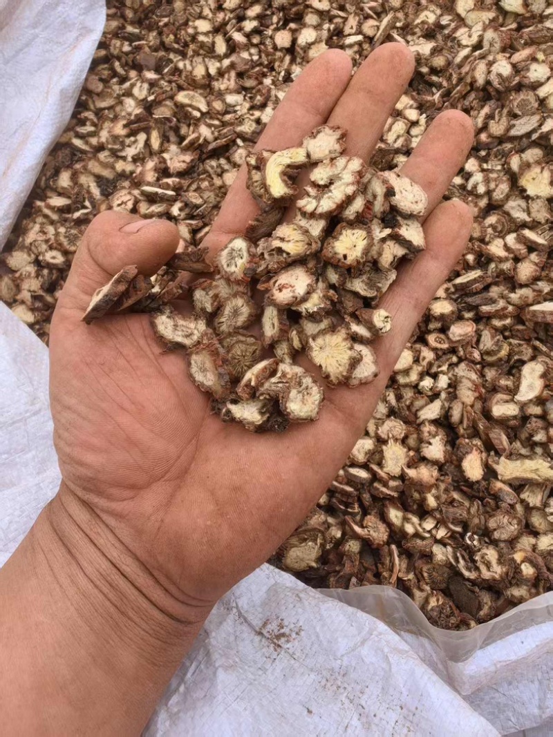《精品》丹参头片大量有货正宗山西各种规格药材齐全
