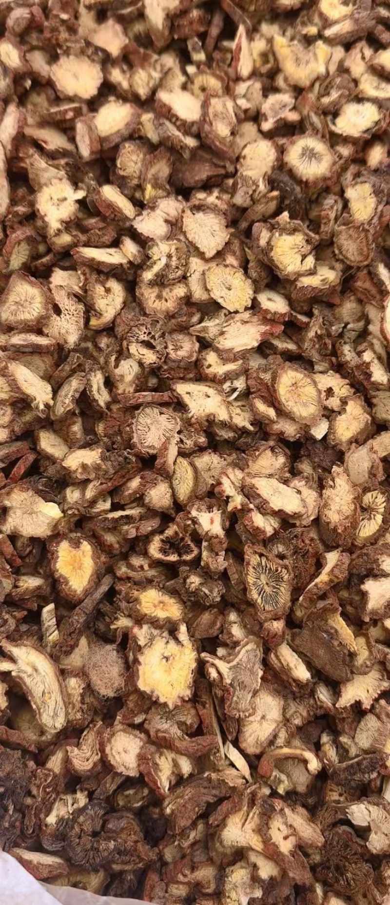 《精品》丹参头片大量有货正宗山西各种规格药材齐全