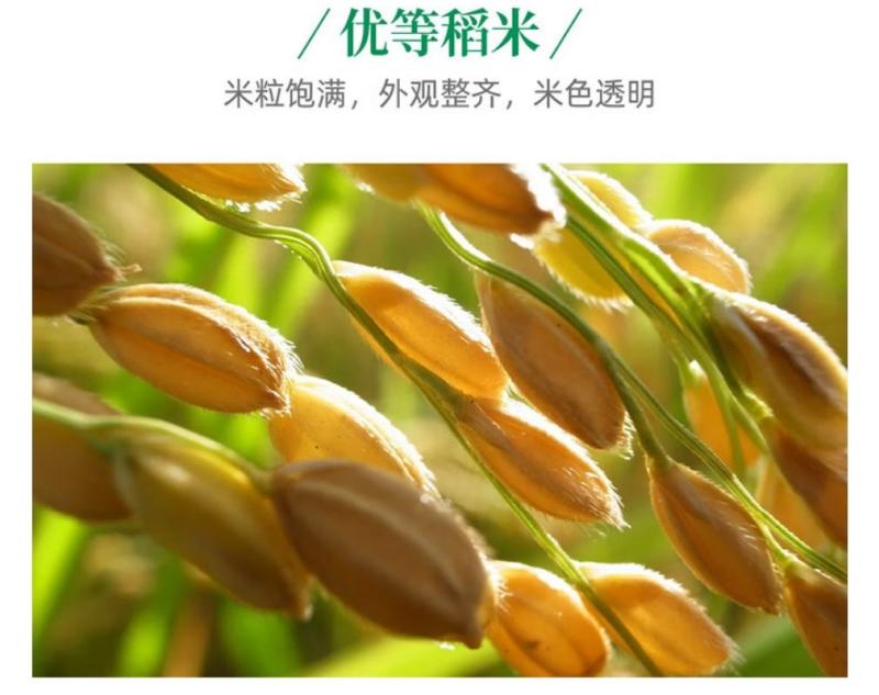中粮集团福临门优选东北大米5kg