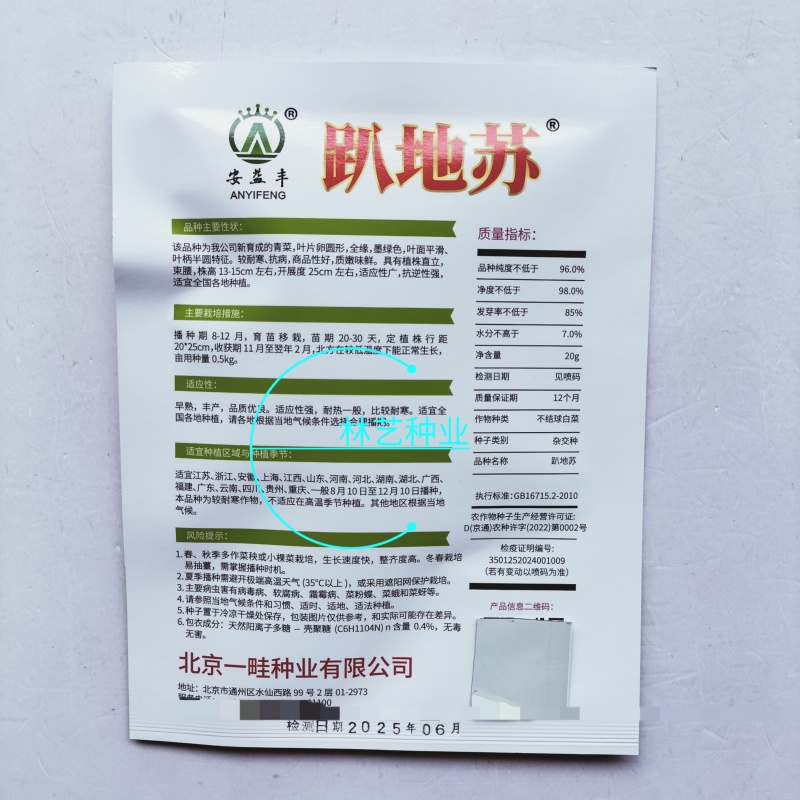 趴地苏矮脚青梗菜种子高产耐寒耐冻黑亮矮箕趴地苏州青黑菜种