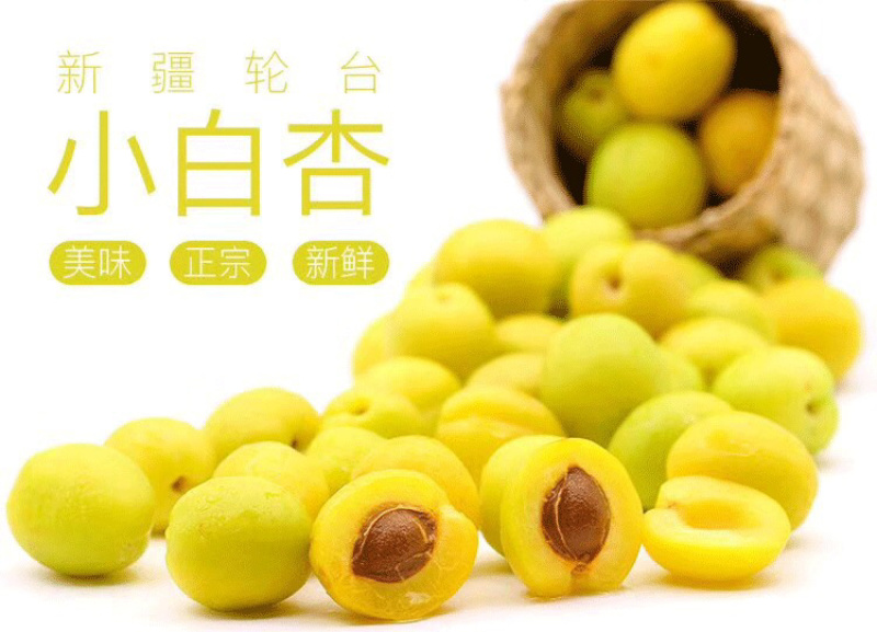 新疆轮台县小白杏