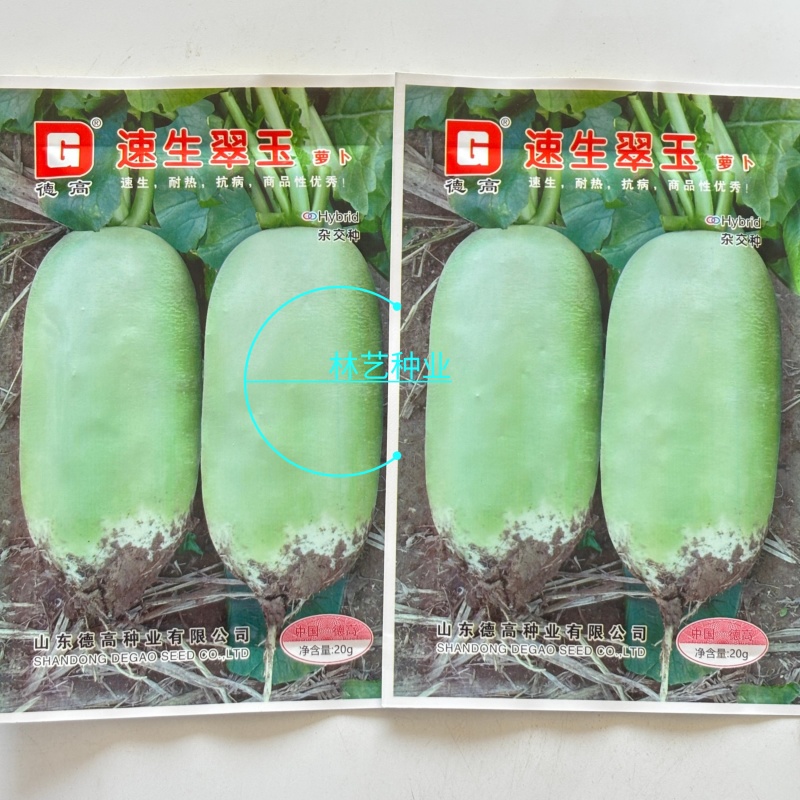 德高速生翠玉萝卜种子早熟夏秋季耐热脆甜青萝卜种籽水果萝卜