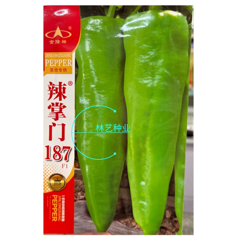 辣掌门187辣椒种子一代杂交粗长牛角型辣椒子黄皮辣