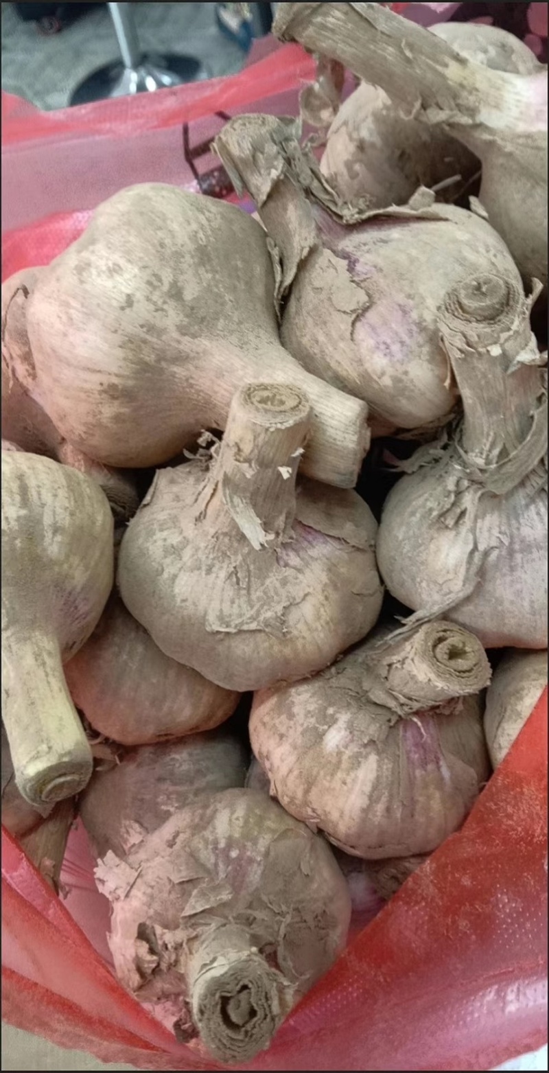 大蒜🧄支持全国发货电商实体大量有货