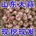山东大蒜品种齐全，量大从优，品质保证，可视频看货