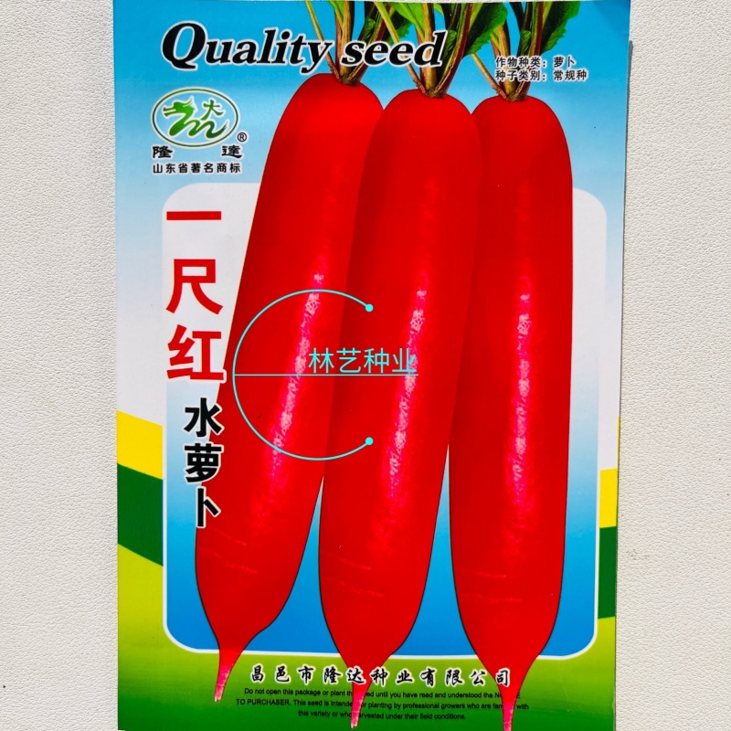 一尺红水萝卜种子白心红皮水萝卜种籽耐寒春播阳台盆栽蔬菜种