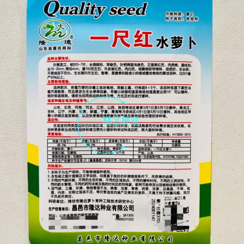 一尺红水萝卜种子白心红皮水萝卜种籽耐寒春播阳台盆栽蔬菜种