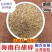 白胡椒碎胡椒颗粒打粉神器纯正白胡椒颗粒调料香料