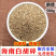 白胡椒碎胡椒颗粒打粉神器纯正白胡椒颗粒调料香料