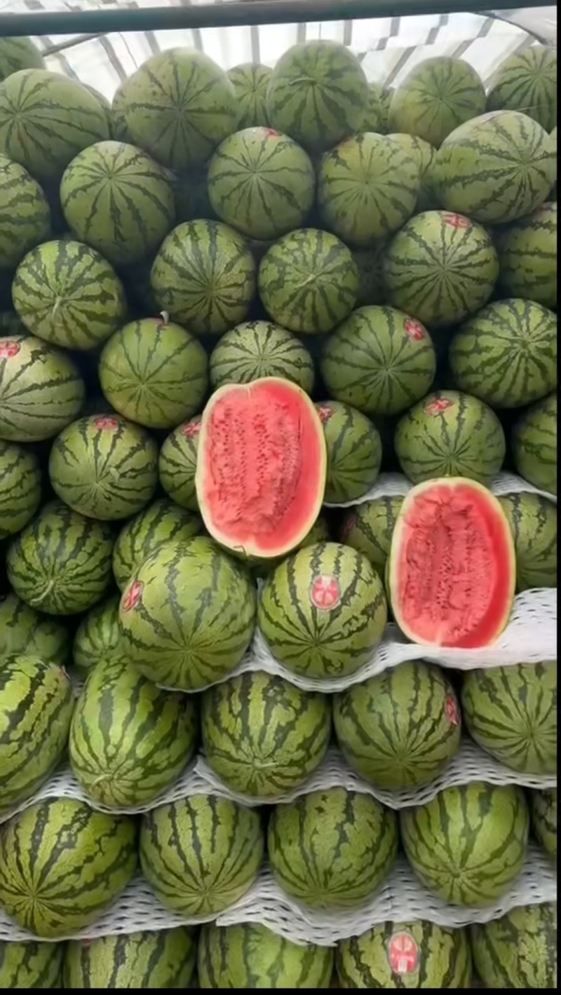 精品二茬瓜。电商瓜，宁夏硒砂瓜，金城5号，金花，源头产地