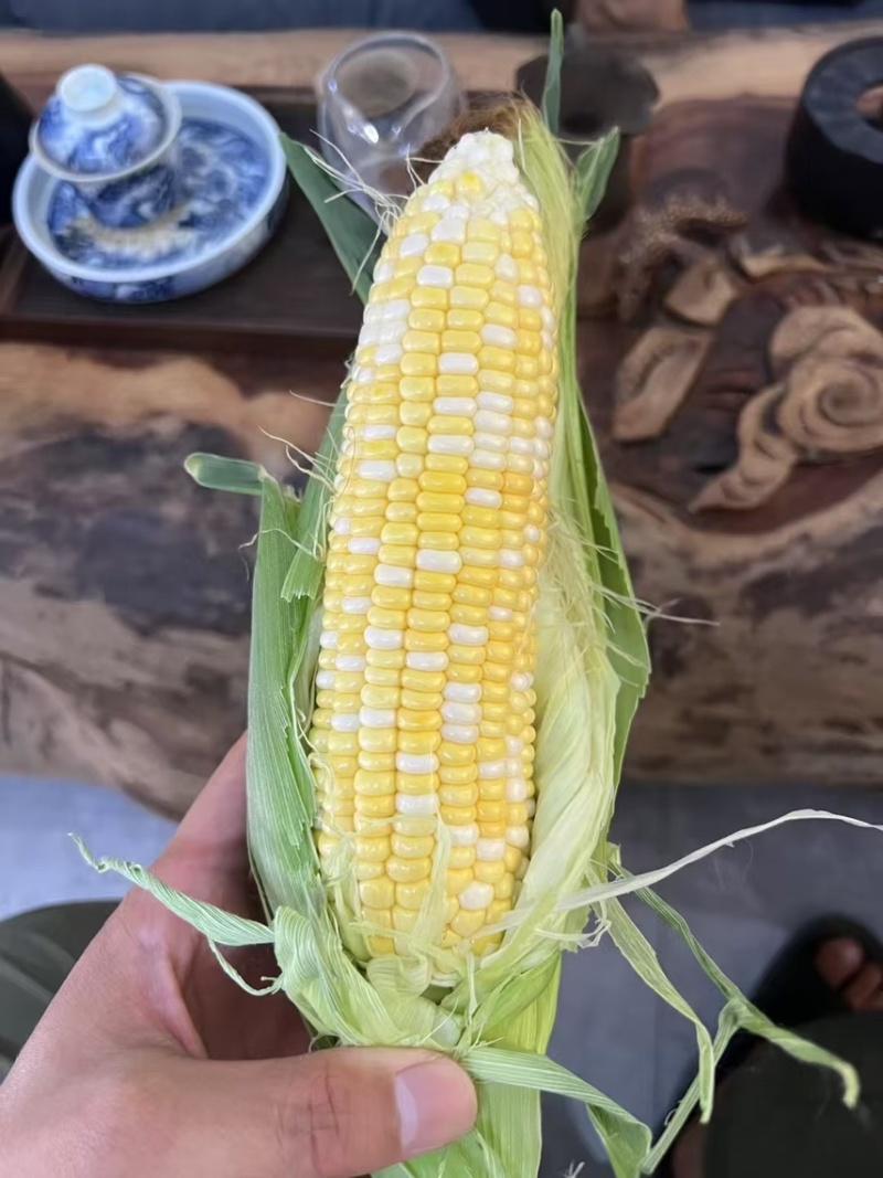 广西横州横县花糯甜糯玉米新摘甜玉米白糯黑糯花甜
